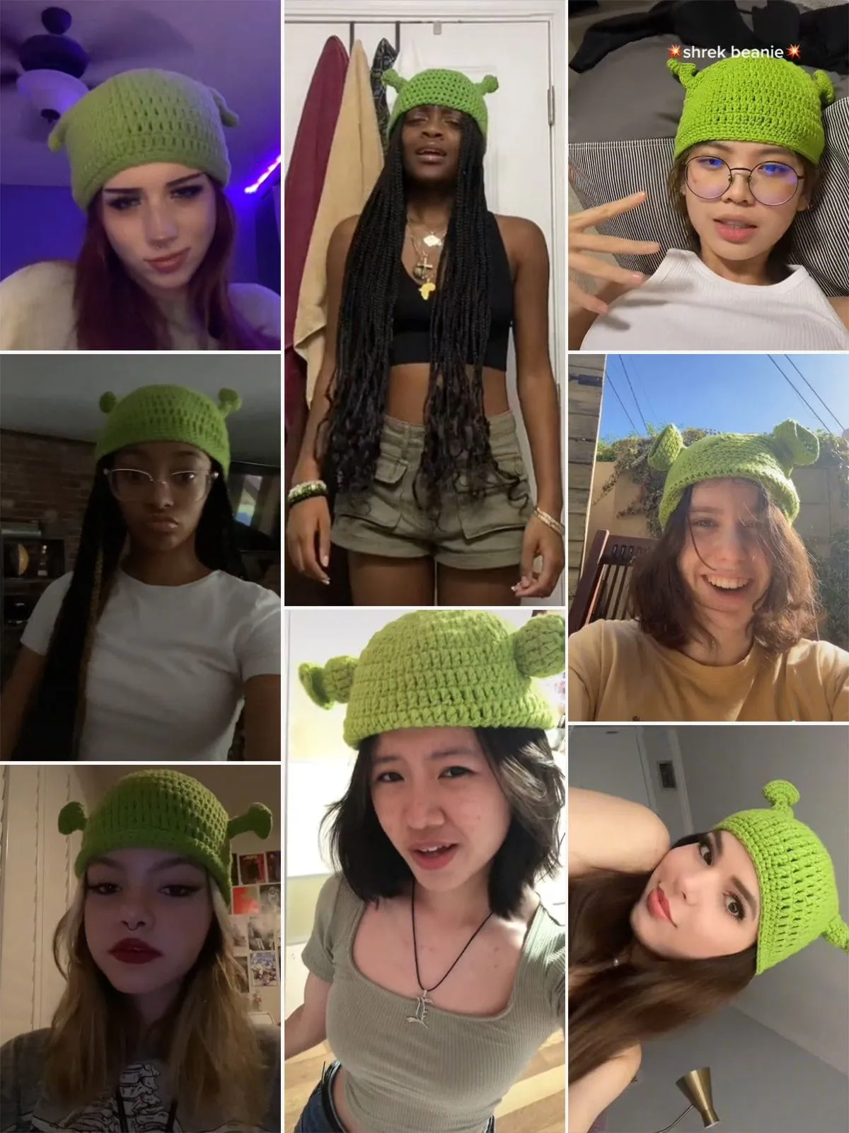 Aelfric Eden Funny Animated Shrek Beanie