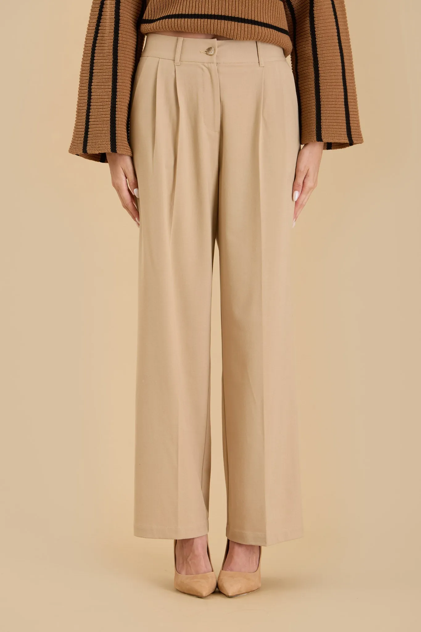 HIGH WAIST PLEATED WIDE LEG DRESS PANTS