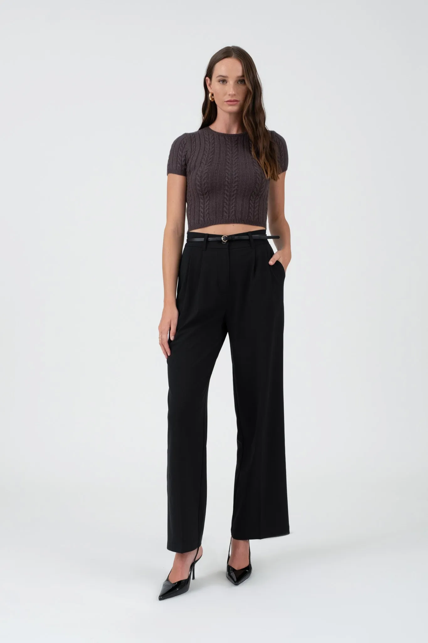 HIGH WAIST PLEATED WIDE LEG DRESS PANTS