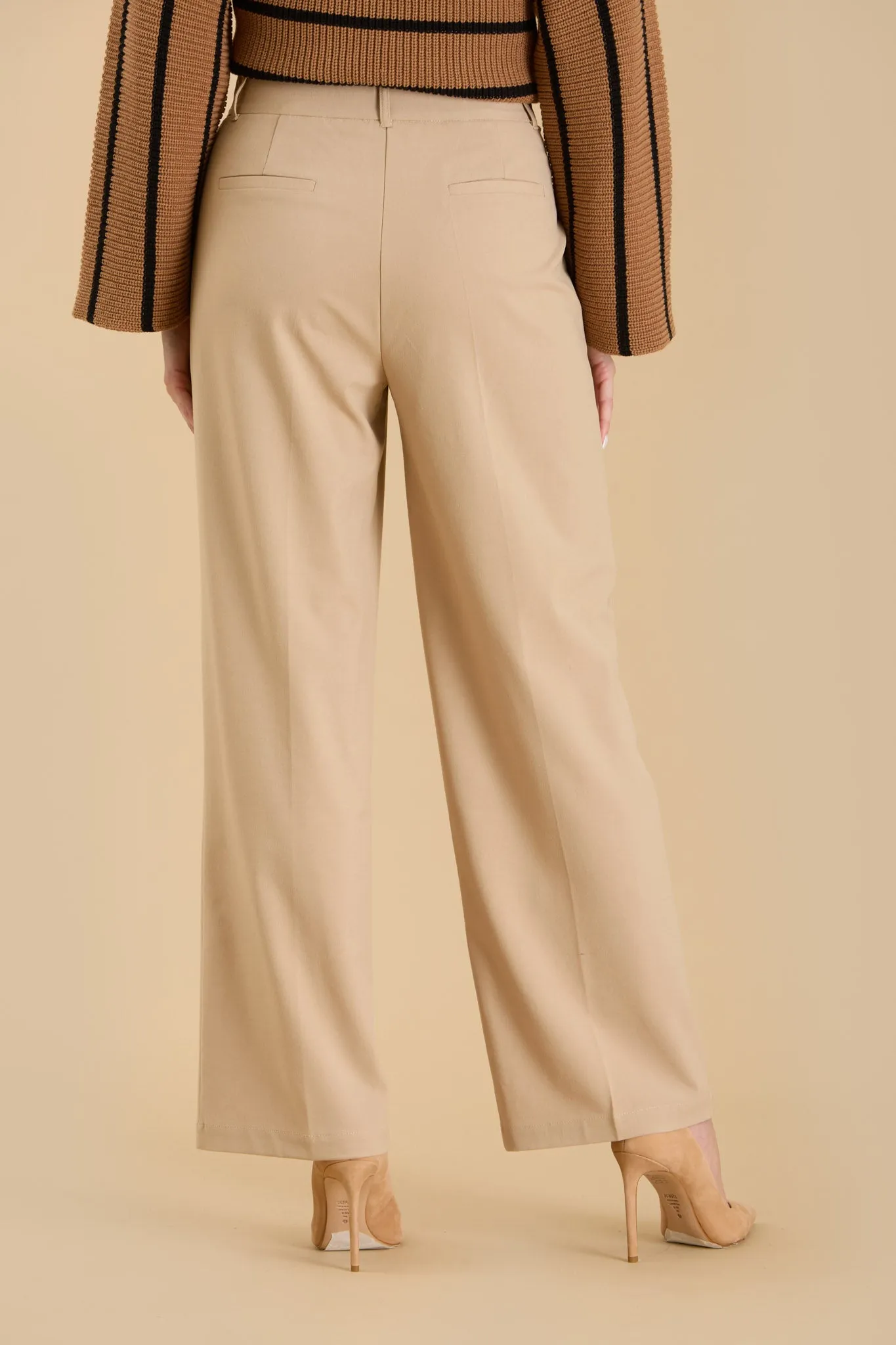 HIGH WAIST PLEATED WIDE LEG DRESS PANTS